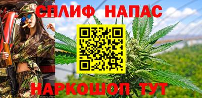 гашик Будённовск