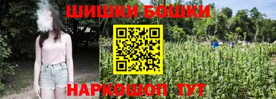гашик Будённовск