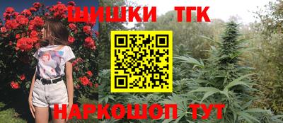 гашик Будённовск
