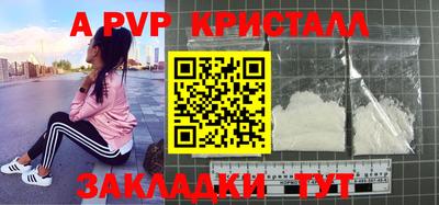 гашик Будённовск