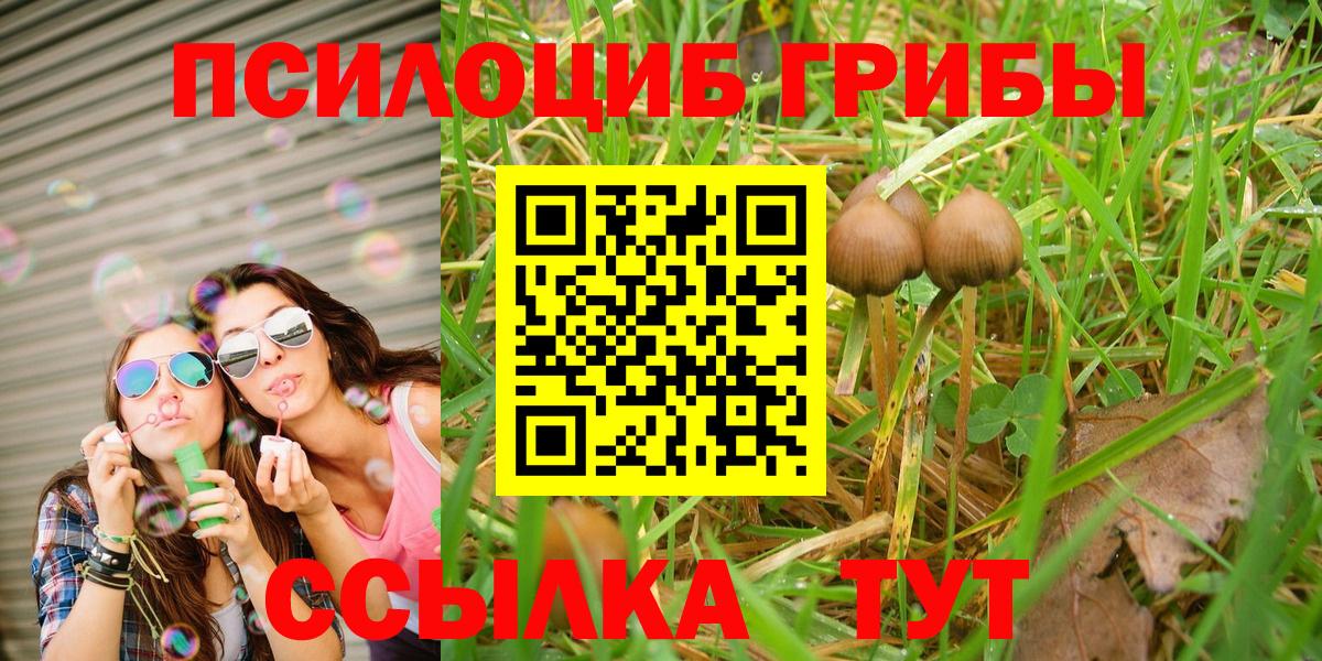 Псилоцибиновые грибы мухоморы  Вход с VPN  Псилоцибиновые грибы Psilocybine cubensis  Кудымкар 